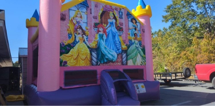 Pink Disney Princess Bounce House